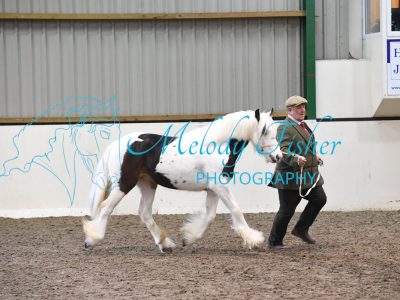 MFP_3697