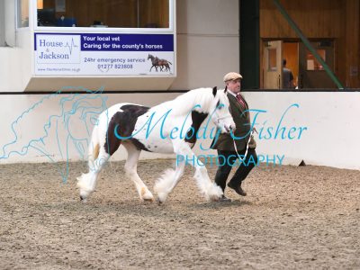 MFP_3698