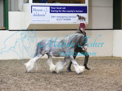 MFP_3839