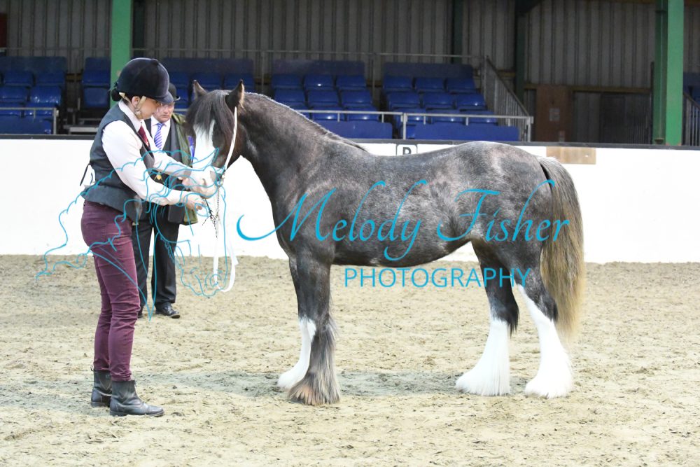 MFP_3719