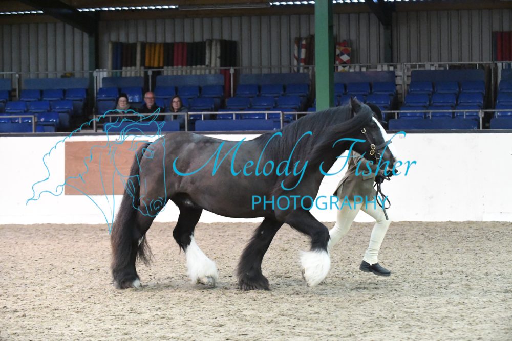 MFP_3649