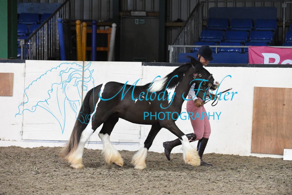 MFP_3881