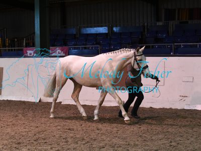 MFP_4945