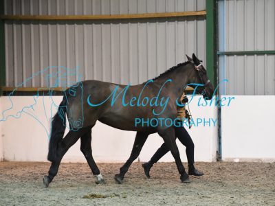MFP_4771