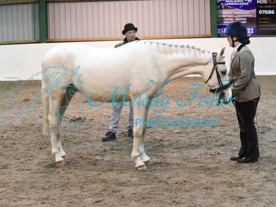 MFP_4947