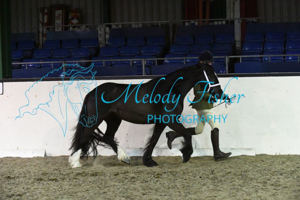 MFP_4963