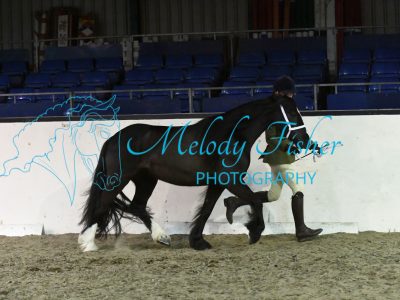 MFP_4963