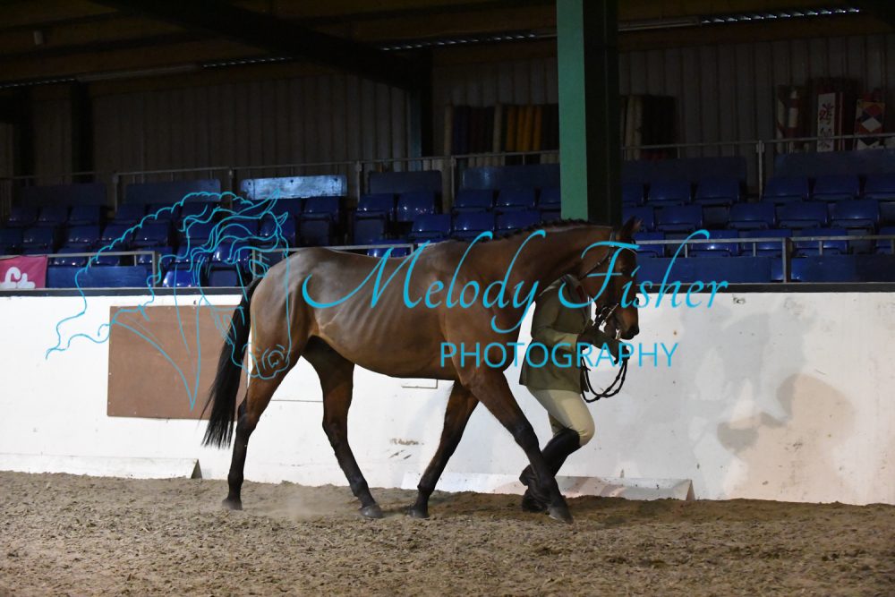 MFP_4966