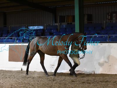 MFP_4966