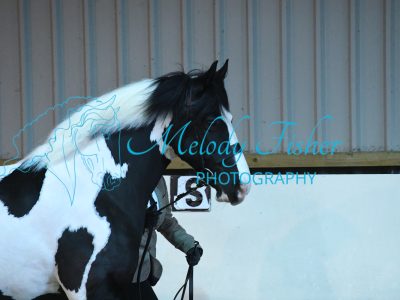 MFP_4833
