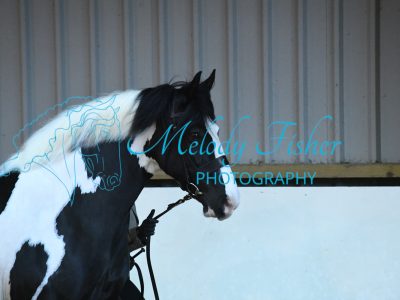 MFP_4834