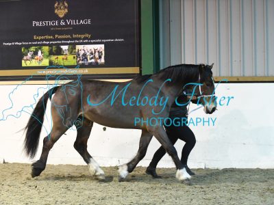 MFP_4633