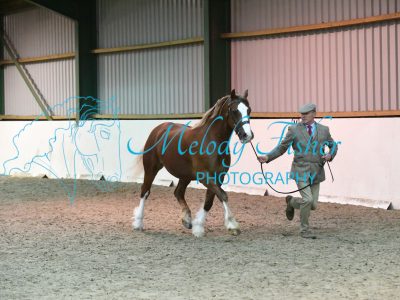 MFP_4634