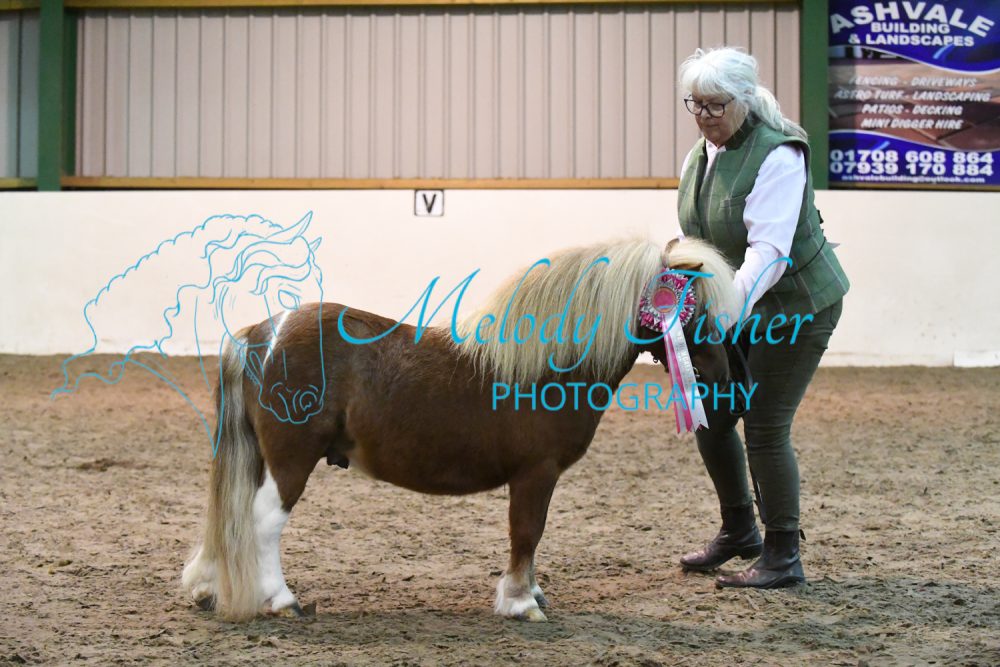 MFP_4934