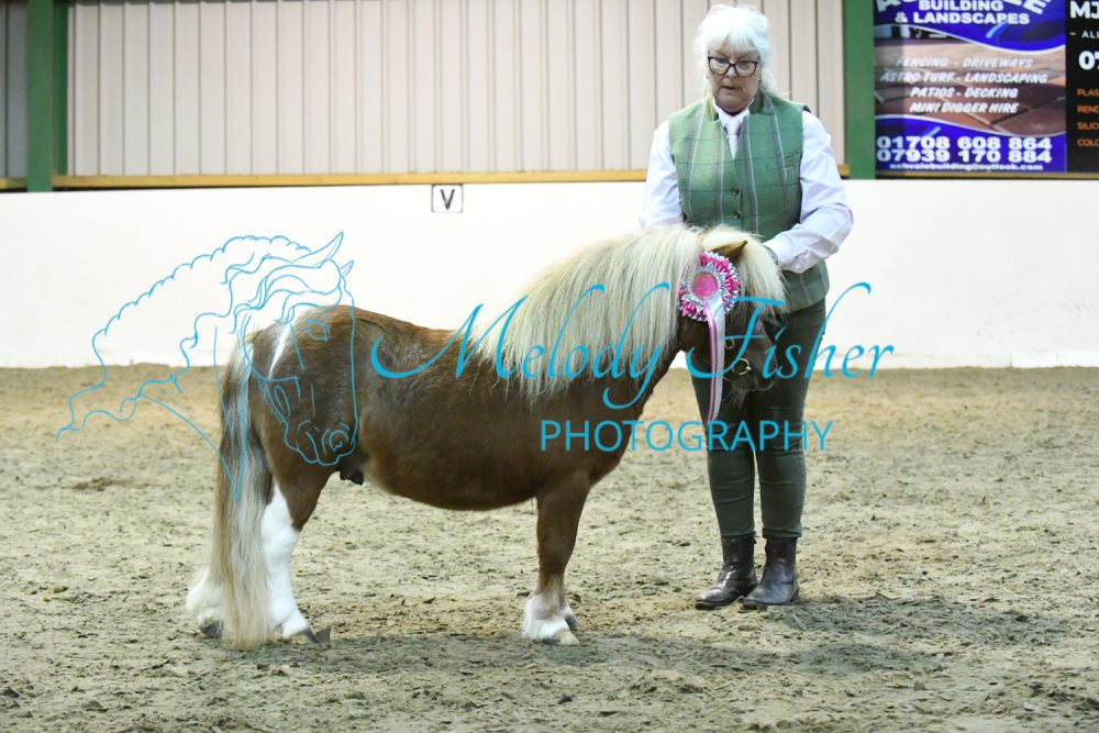MFP_4936