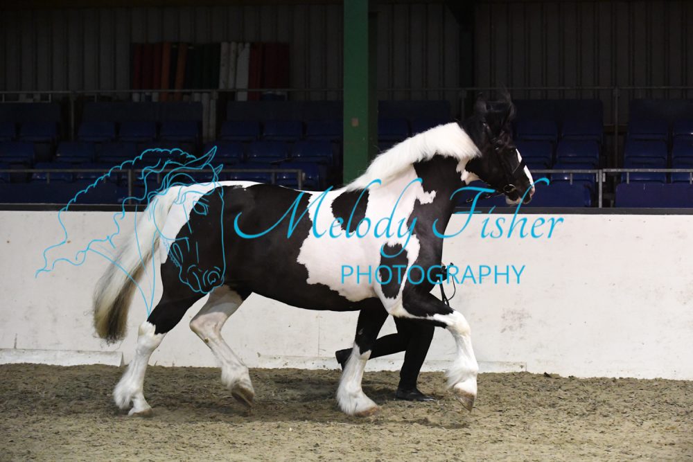 MFP_4870