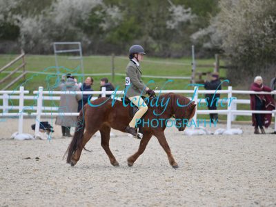 SMR_0732