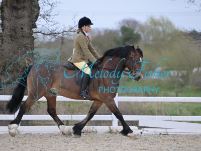 SMR_1177
