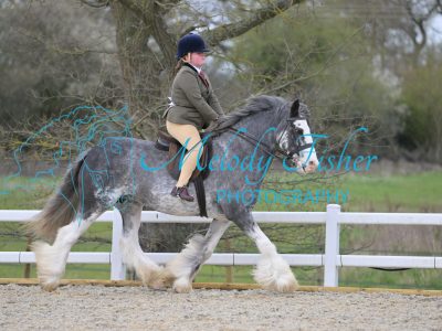 SMR_1178