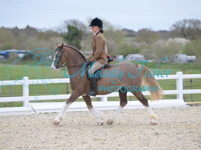 SMR_0687