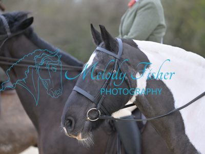 SMR_0362
