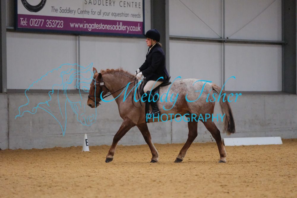 CPRE2940
