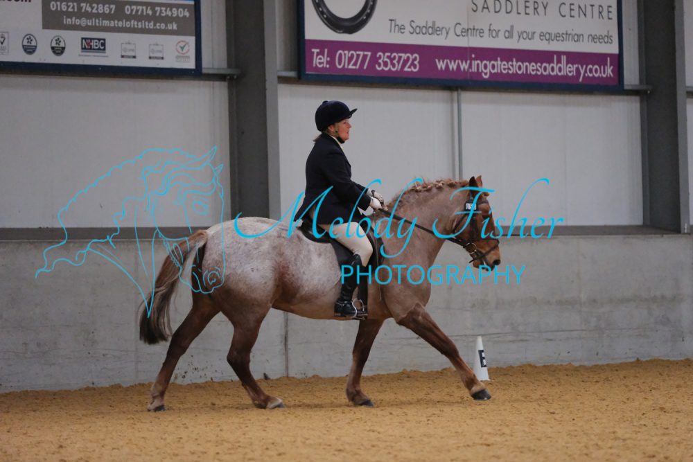 CPRE2943