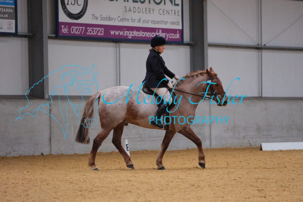 CPRE2950