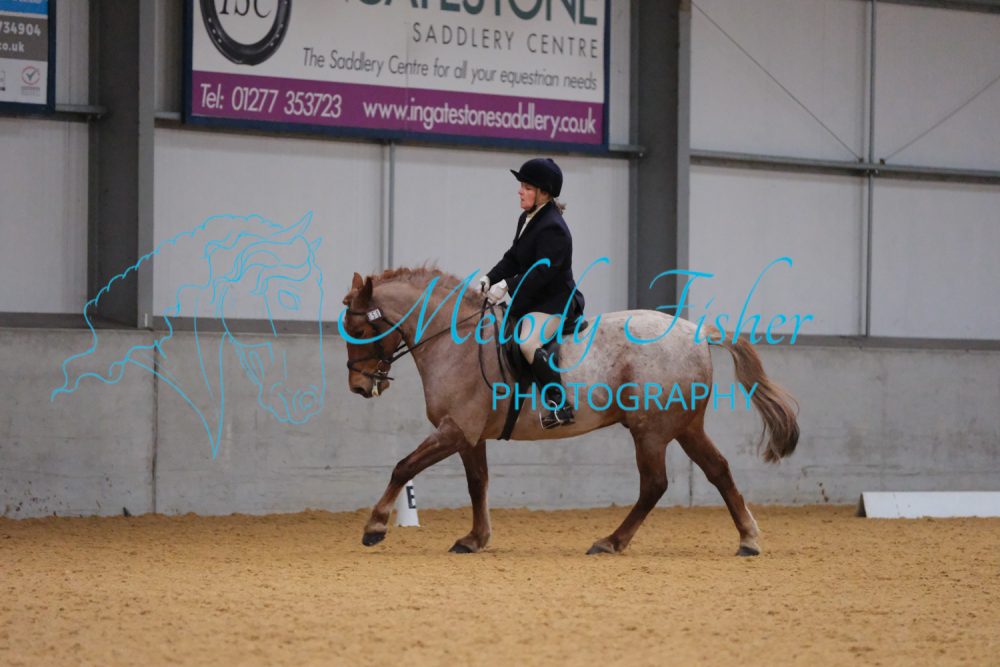 CPRE2955
