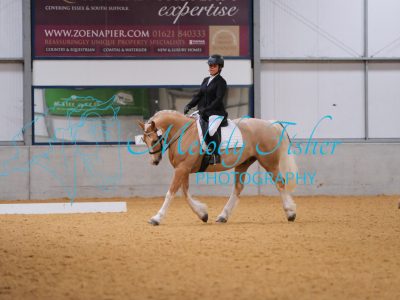 CPRE2146