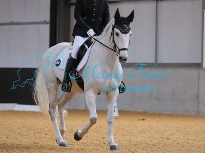 CPRE1558