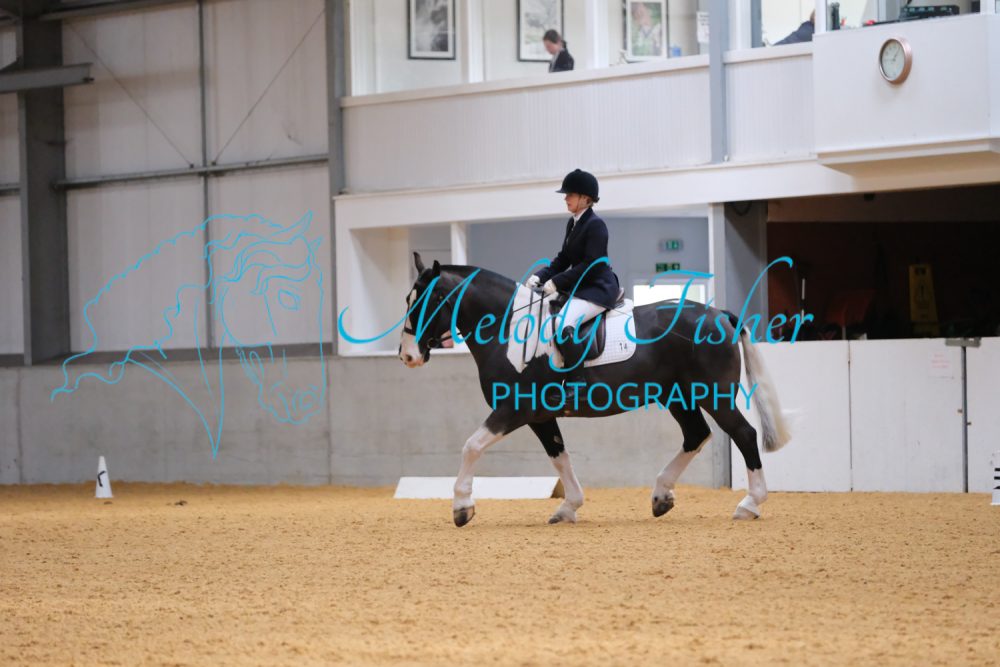 CPRE1517
