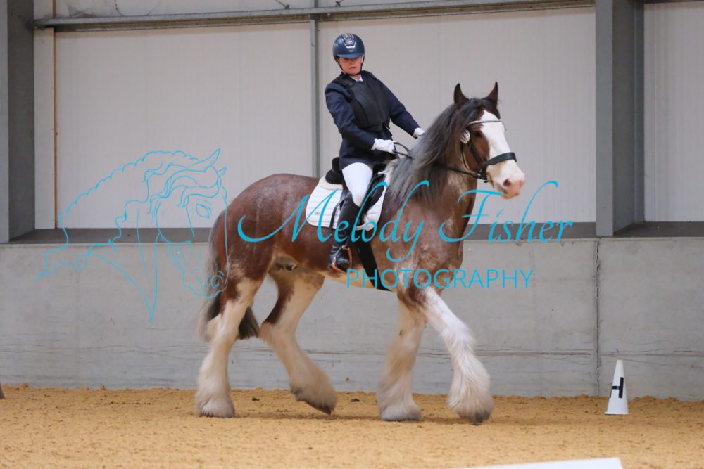 CPRE1733