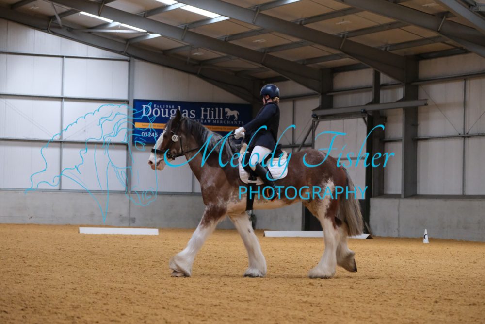 CPRE1741