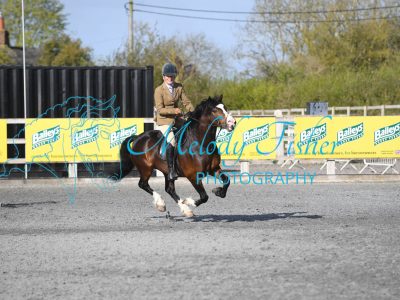 PBP_0255