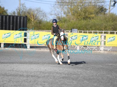 PBP_0037