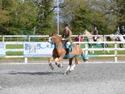 PBP_0381