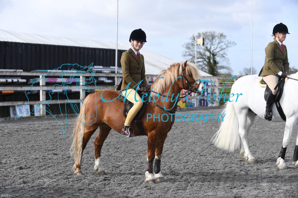 PBP_0341