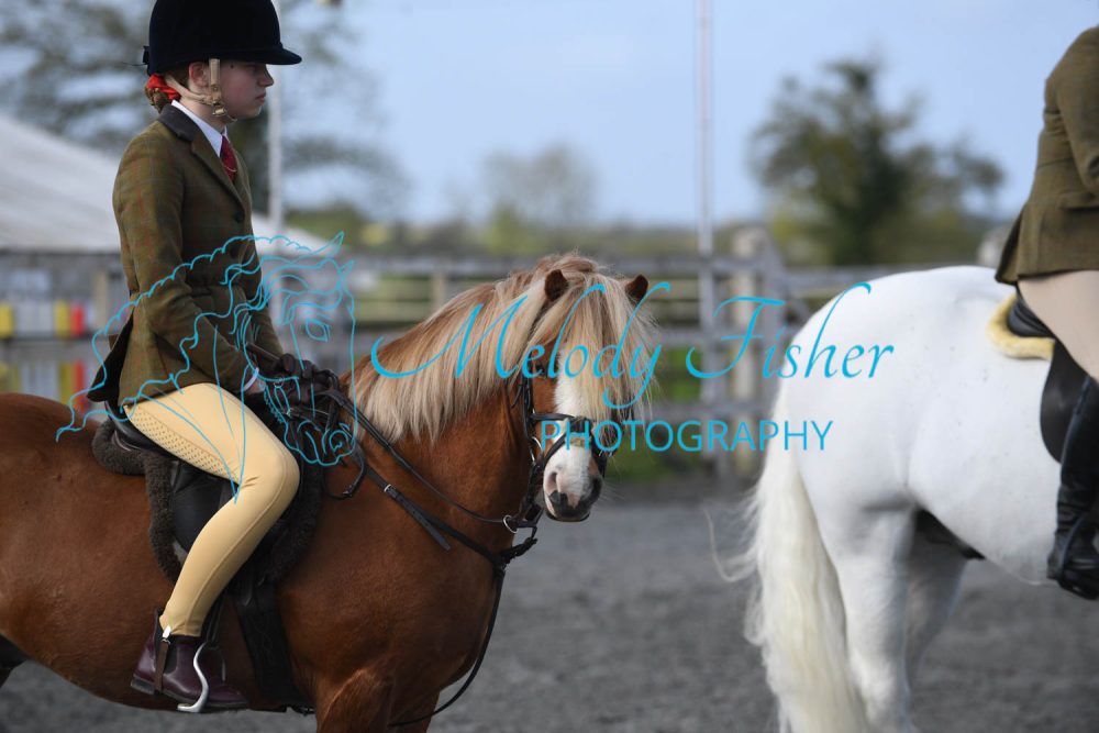 PBP_0345