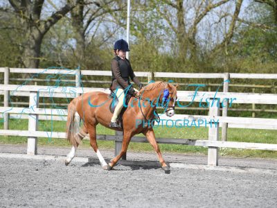 PBP_0988