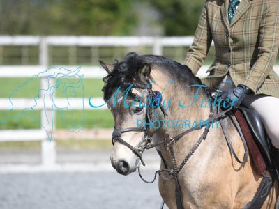 PBP_0737