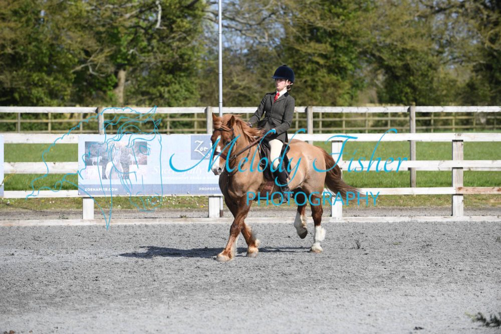 PBP_0591