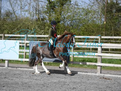 PBP_1018