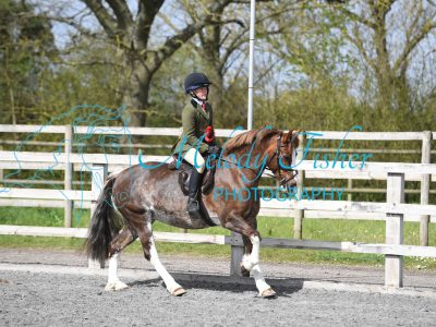 PBP_1023