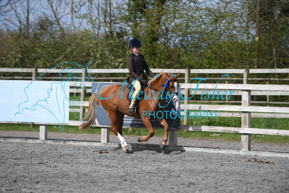 PBP_1038