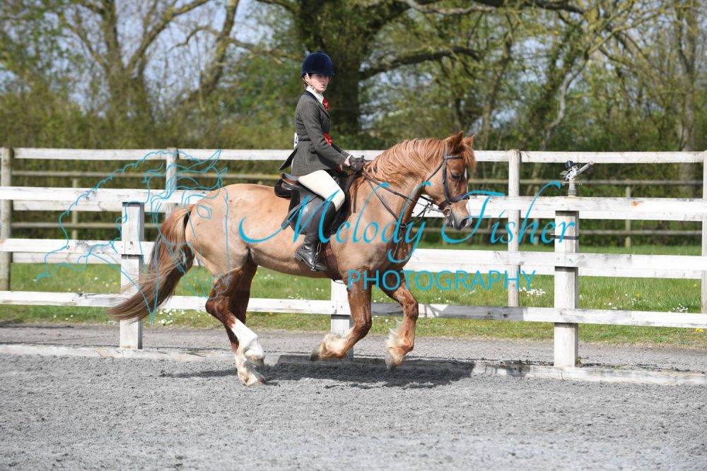 PBP_1050