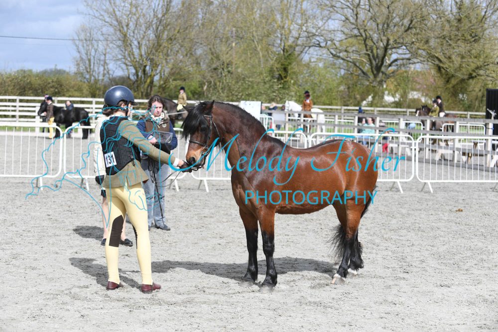 PBP_0934