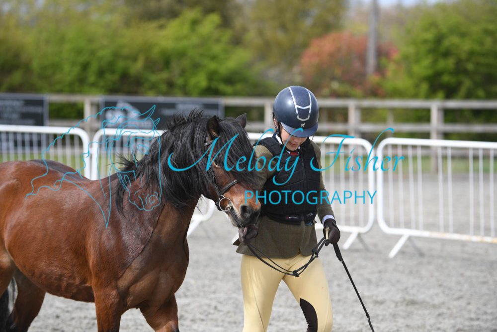 PBP_0937