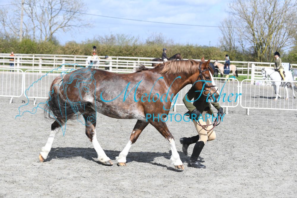 PBP_0695