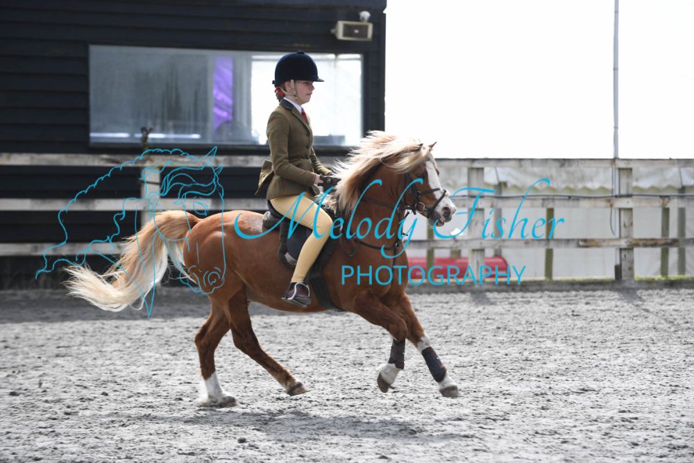 PBP_1131